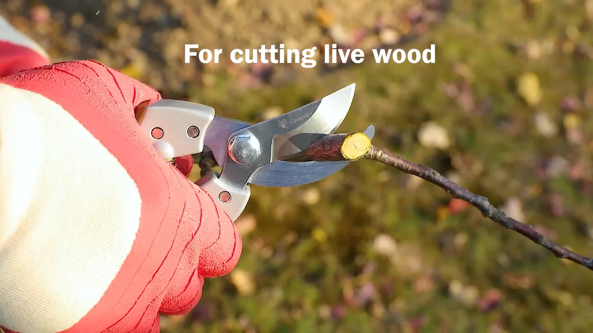 Decorative Deluxe Bypass Pruner Garden Cutting Tools Fruit Pruning