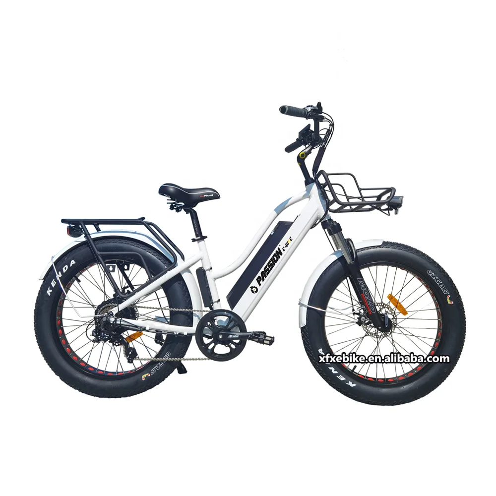 Ebike Dj City Bike Review Dj City Bike DJ Super Bike Step Thru