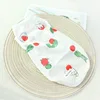 Estampado de malla sencillo - pequeño dinosaurio
