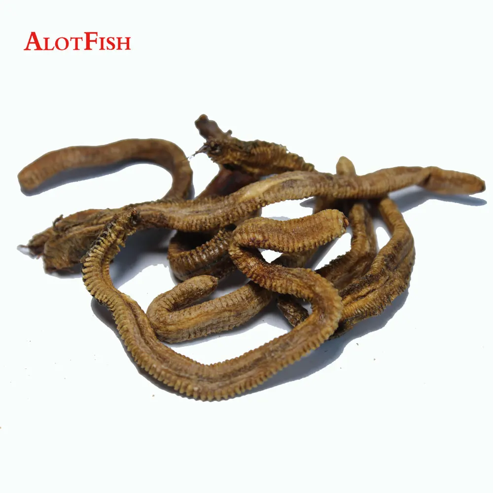 ドライラグウォームフィッシングルアーフィッシュベイトピーナッツワームフランスイタリア釣り Buy 釣りルアー 魚の餌 ビビウォーム Product On Alibaba Com