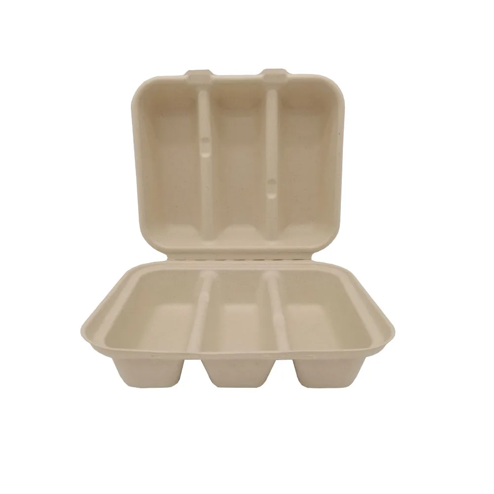 Natural Disposable Packing - Sugarcane Pulp Bagasse Mexico Taco Box