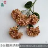 Hortensia Candy HN de 5 cabezas, marrón claro, sin hojas