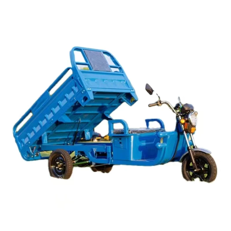 Electric Tricycles 3 Wheel Electric Cargo Bike Electric Adult Tricycle