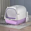 Viola