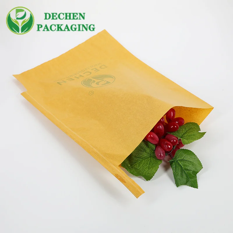 Grape Bunch Garden Vegetable Grapes Apples Protection Pouch Fruit Waterproof Paper Bag