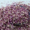 piccoli petali viola