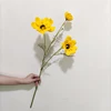 Amarillo