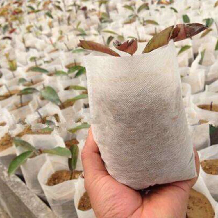 Factory wholesale custom  100% Biodegradable recyclable  felt non woven fabric plant seedling bag