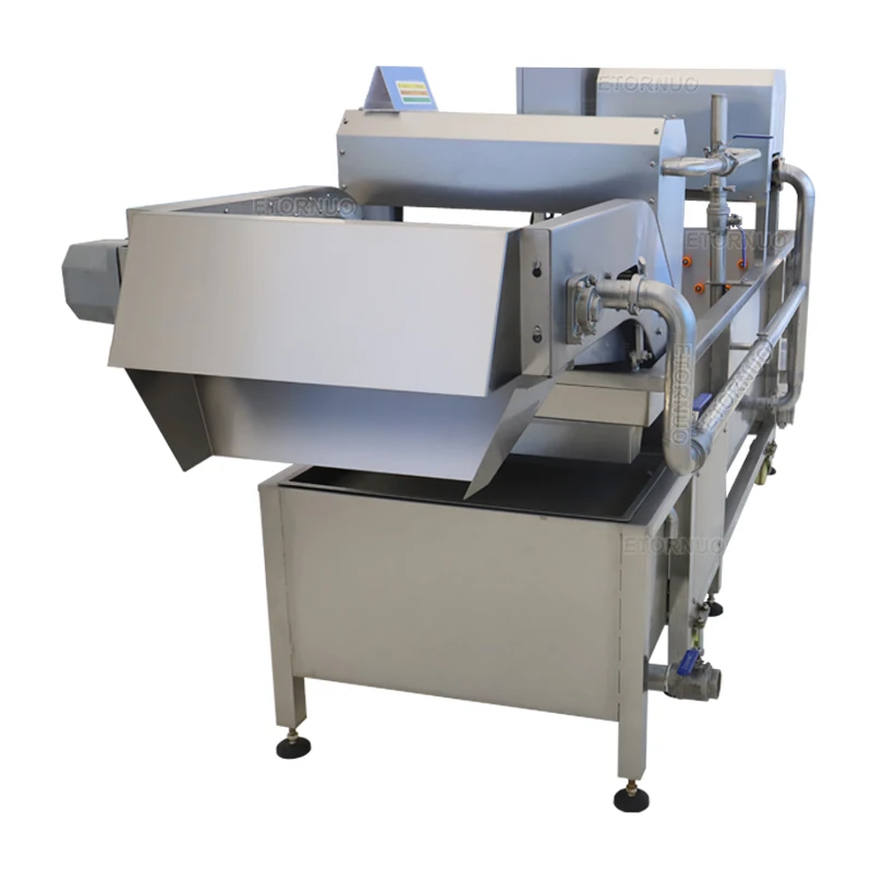 Professional Electric Automatic Beet Root Radish Prickly Pear Cleaning Machine