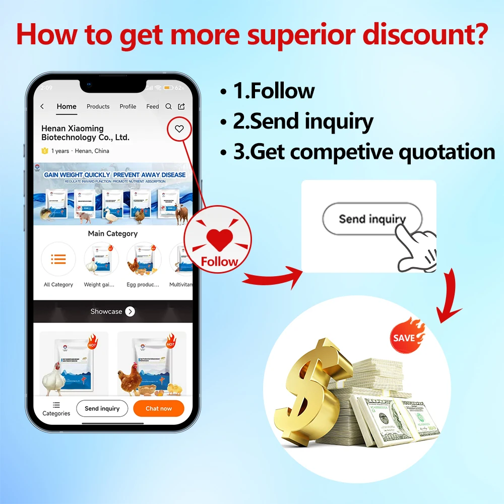 Animal Feed Additive Methionine Probiotic Multivitamin to Grow Egg Booster Powder for Birds Hen Layer Chicken Poultry Supplement