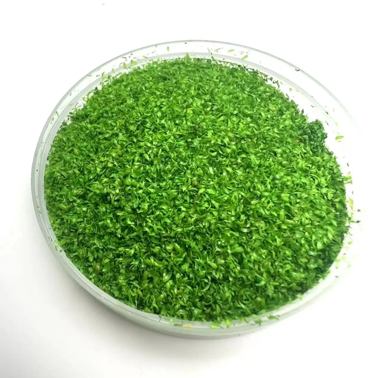 50ML 300ML Architecture Grass Tree Powder for Model  Scale Tree Diorama Train Layout