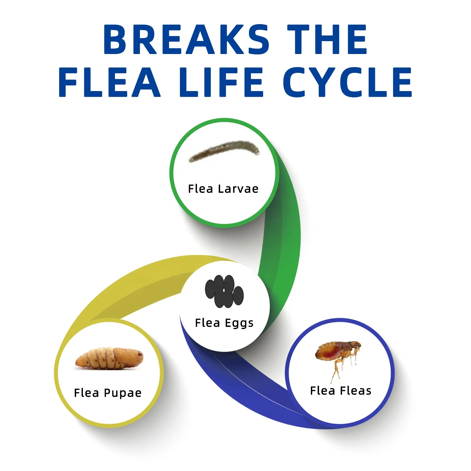 100 Natural Flea Drops For Dogs,Essential Oil Formula Kills Fleas,Eggs & Larvae,Customized