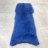 Bleu vif