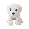 Spotted dog
