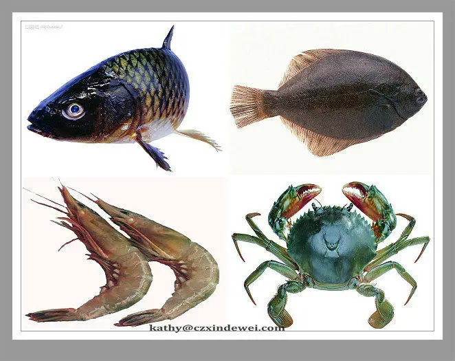 
Кормовая формула, аллицин 98%, масло для рыб и креветок, привлекательное и стимулирующее аппетит, цена чесночного порошка за метрическую тонну 