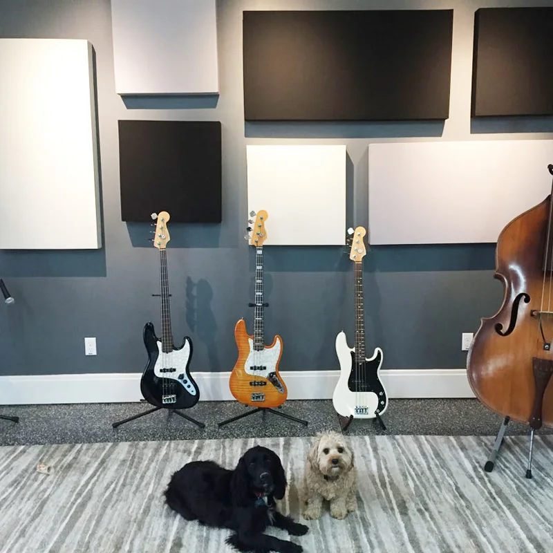 Высококачественные акустические звукопоглощающие панели Звукоизоляционная панель для музыкальной