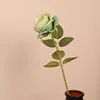 สีเขียว