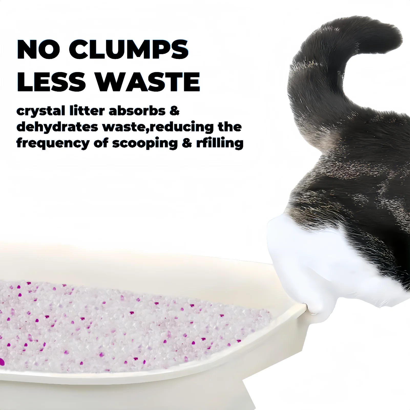 Clumping Cat Exquisite Cat Crystal Litter Clumping Clay Exquisicat