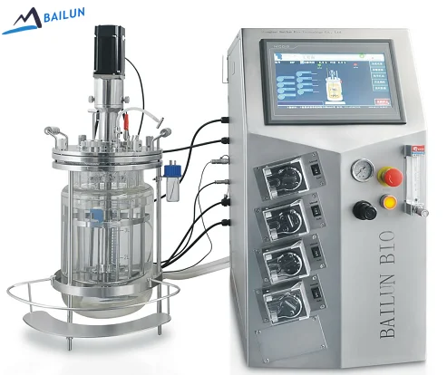 Laboratory System Scale Benchtop GMP Heating Circulator Magnetic Stirring 10L Glass Bioreactor Machine BLBIO-10GCA