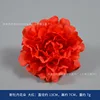 Nuevas flores de peonía, de color rojo brillante.