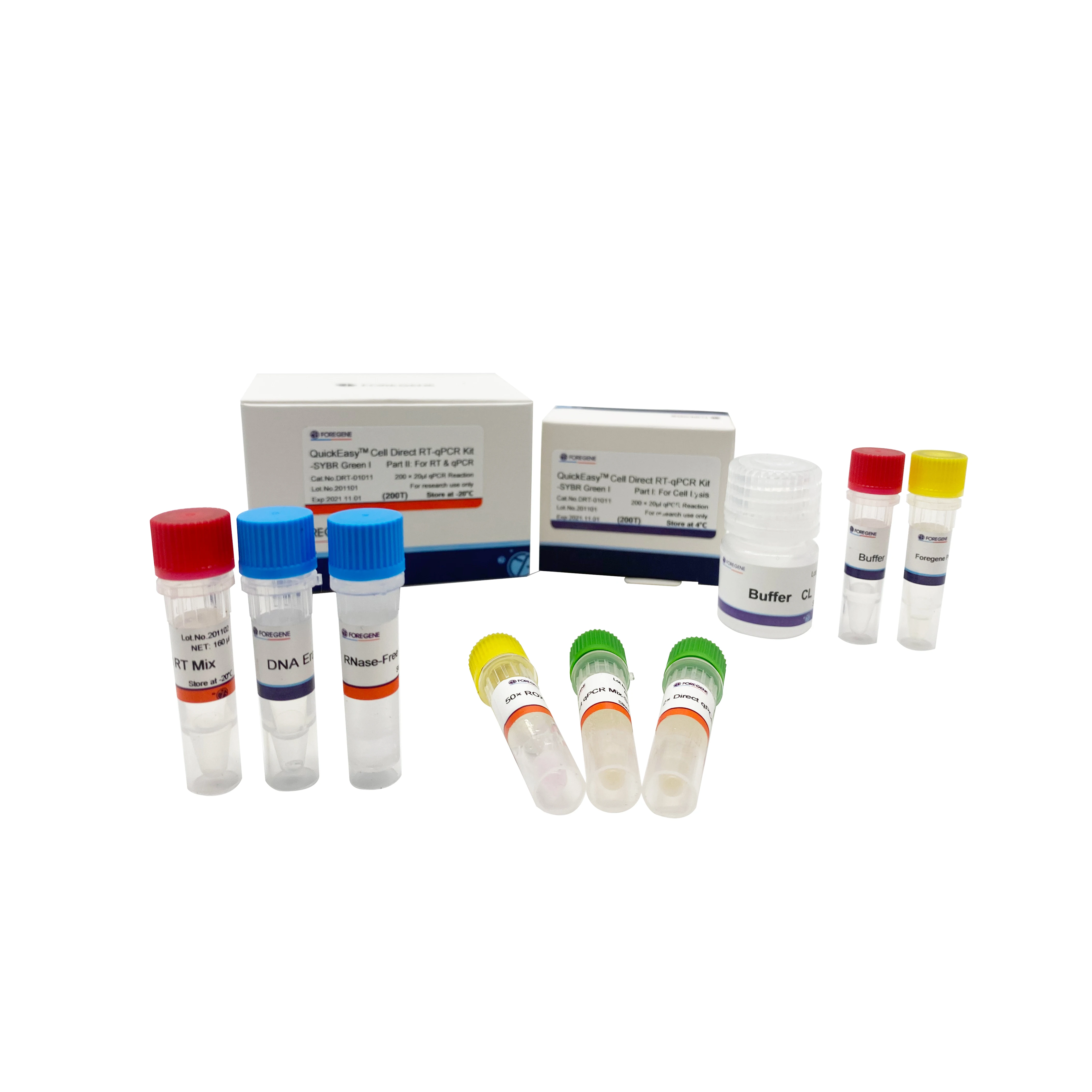 Cell Direct RT-qPCR Kit.jpg