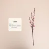 Model b in peach pink