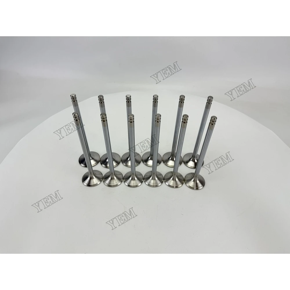 Extra Durable 8192143 3825723 for Intake and Exhaust Valves TD640VE 3