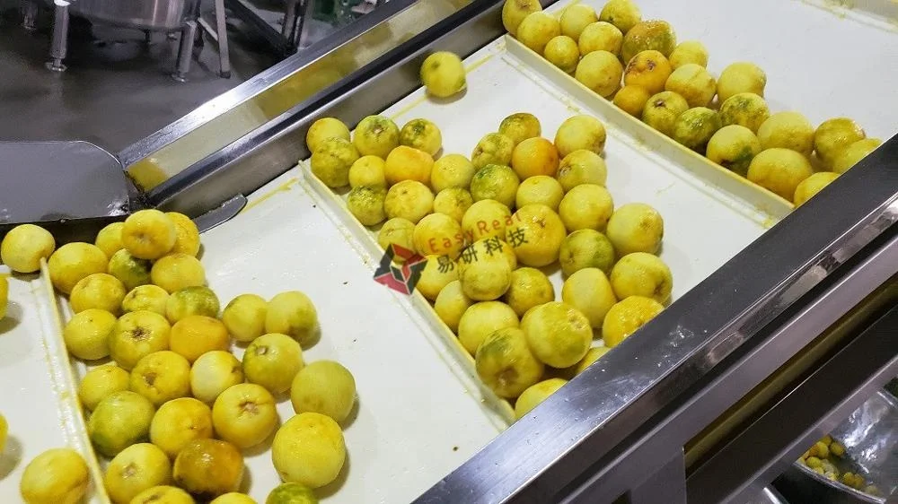 Best Price Orange Citrus Concentrate Processing Production Line Lemon Plant Juice Machine Manufacturer