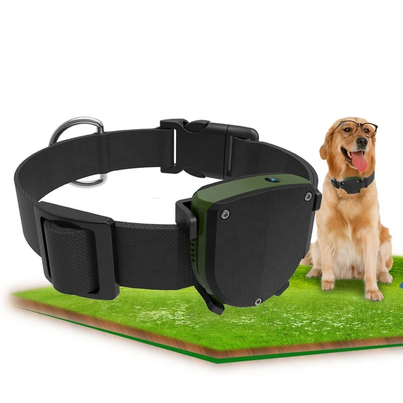 dog tracker with camera