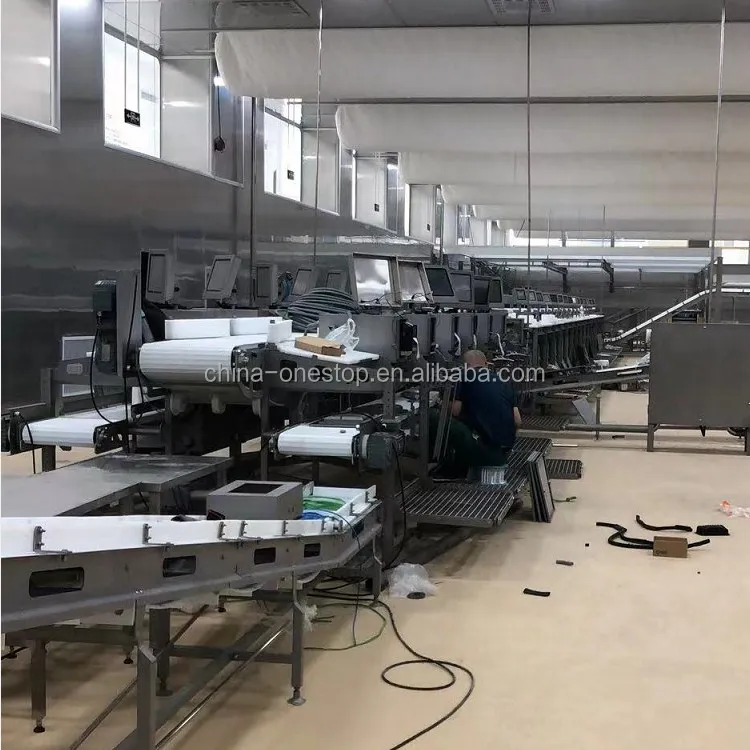 CE standard meat factory automatic meat and beef cutting and processing belt conveyor line