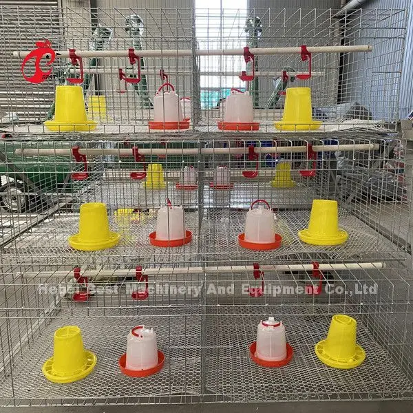 Battery Layer Brooder Cages of Poultry Chicks for 5000 Birds