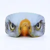 Eagle eye-gb8