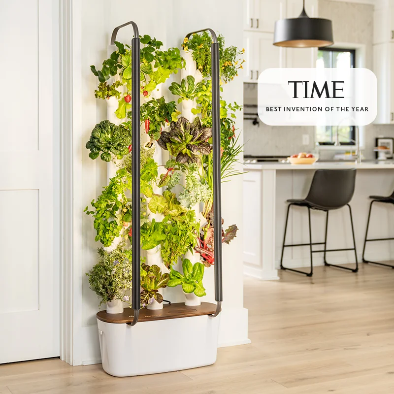 outdoor hanging baskets for plants Straw Woven Hanging Baskets Flower Plant Hanger  Exceptional Distributions