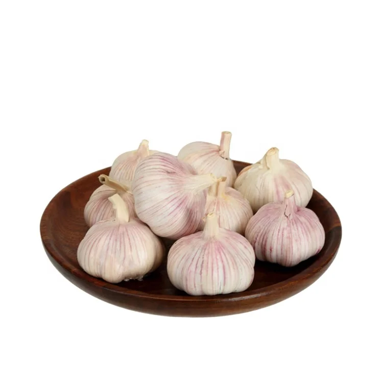 2020 new crop China/Chinese fresh garlic normal white for wholesale, Hot sales