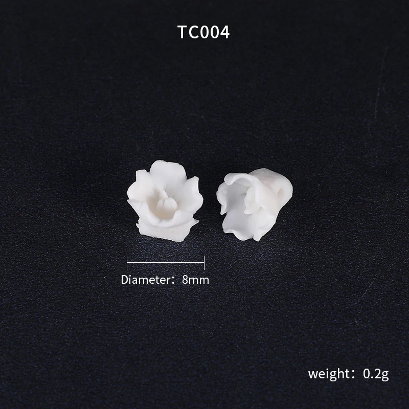 TC004.JPG