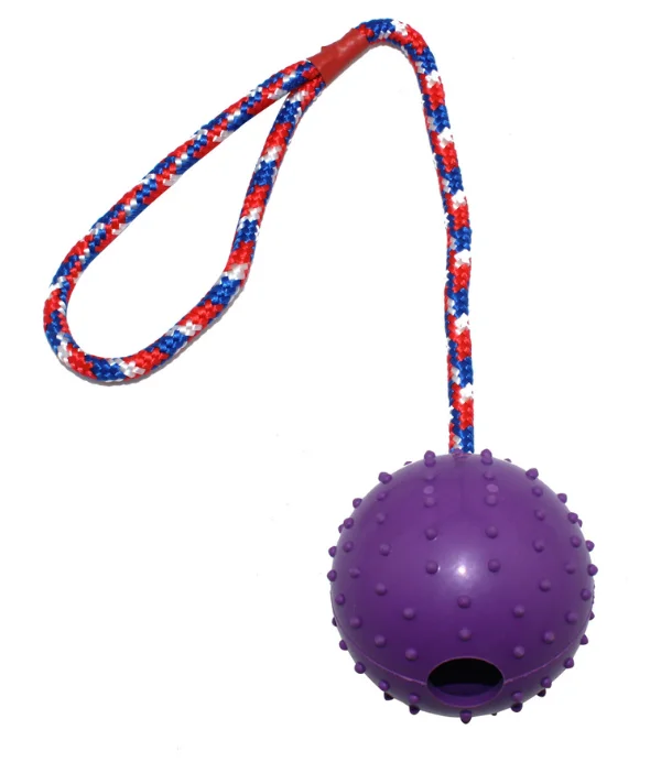 Prickly Ball Piercing Rope Biteresistant Interactive Toy Pet Reward