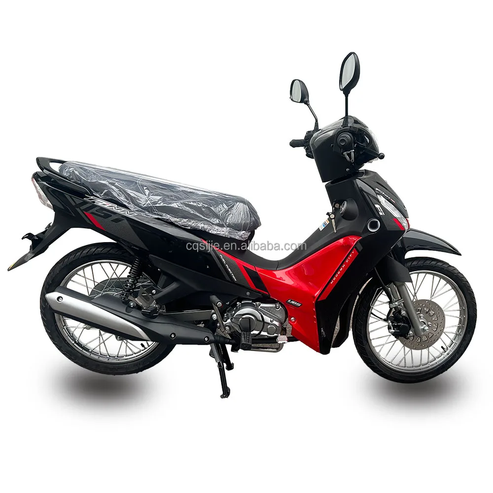 Customized Zongshen YB110 Engine - 110cc 4 Stroke Motor