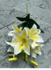สีเหลือง