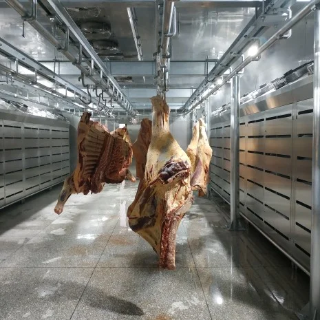 Advanced thawing chamber systems for modern food processing and cold chain applications