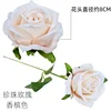 Pearl Rose Champagne