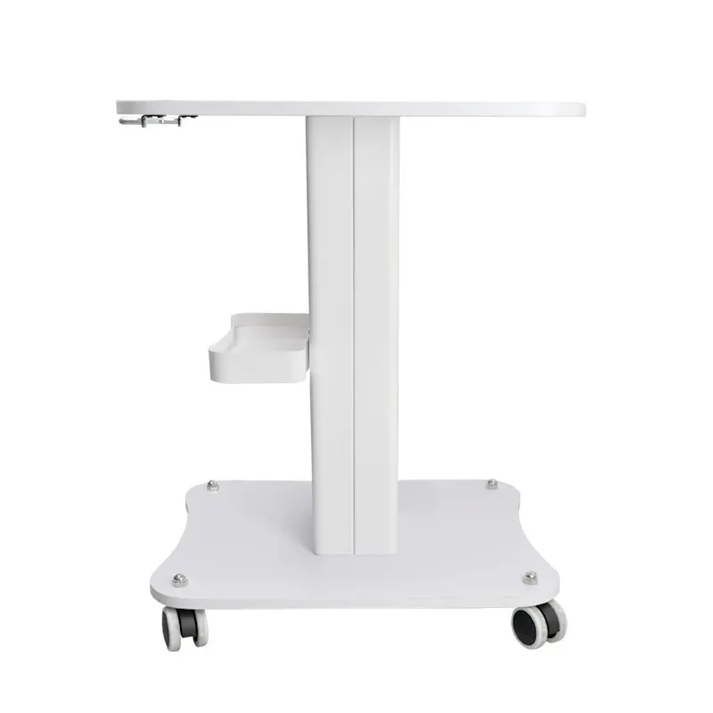 Portable Metal Bracket Wheel Type Beauty Trolley For Salon Machine - Buy Trolley  50x40x20,Beauty Trolley For Salon Machine,Beauty Trolley Product on  Alibaba.com