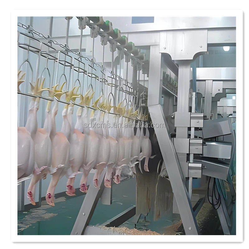 Factory Sale Direct Halal Chicken Slaughtering Equipment Automatic Chicken Production Slaughterhouse Process Line