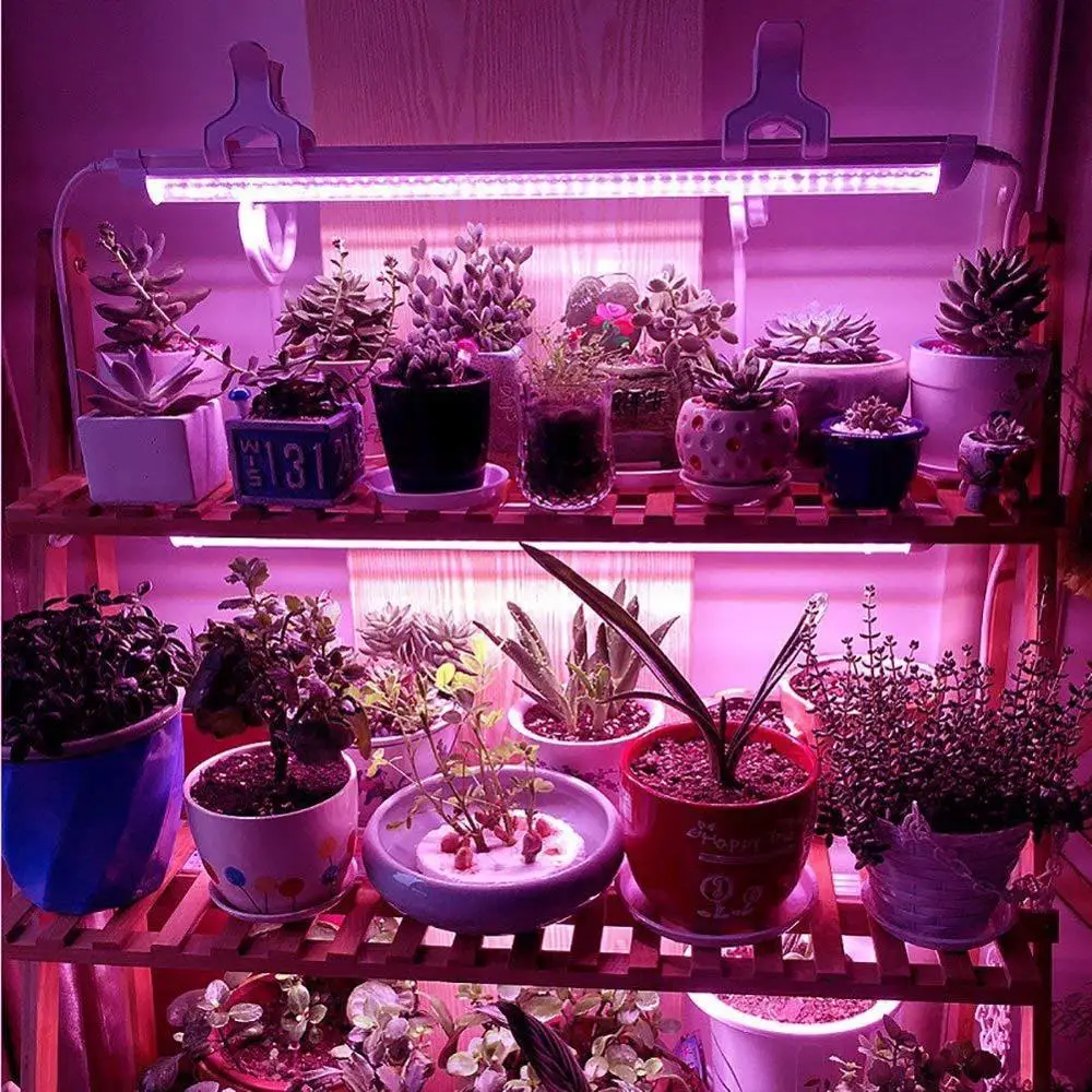 10w 15w w T8 Led 生长管植物生长灯蔬菜水果 Buy Led 日光灯管 Led T8 日光灯管 Led 日光灯管product On Alibaba Com