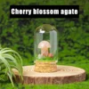 Cherry blossom agate