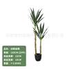 Sisal tree 120CM