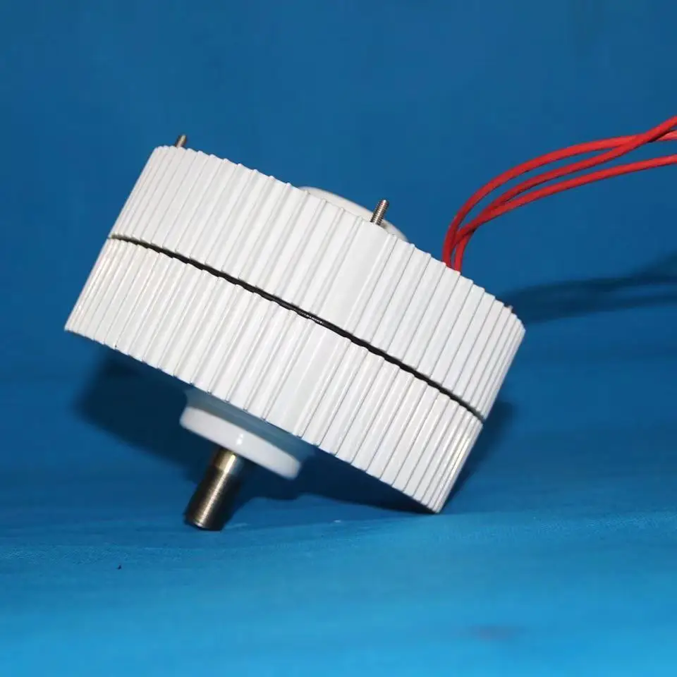 Eolienne 800W 1000W 12V 24V 48V générateur à aimant Permanent