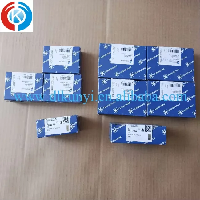 Original KOLBENSCHMIDT EW180C EC210 D6E Big End Bearings Std 79411600