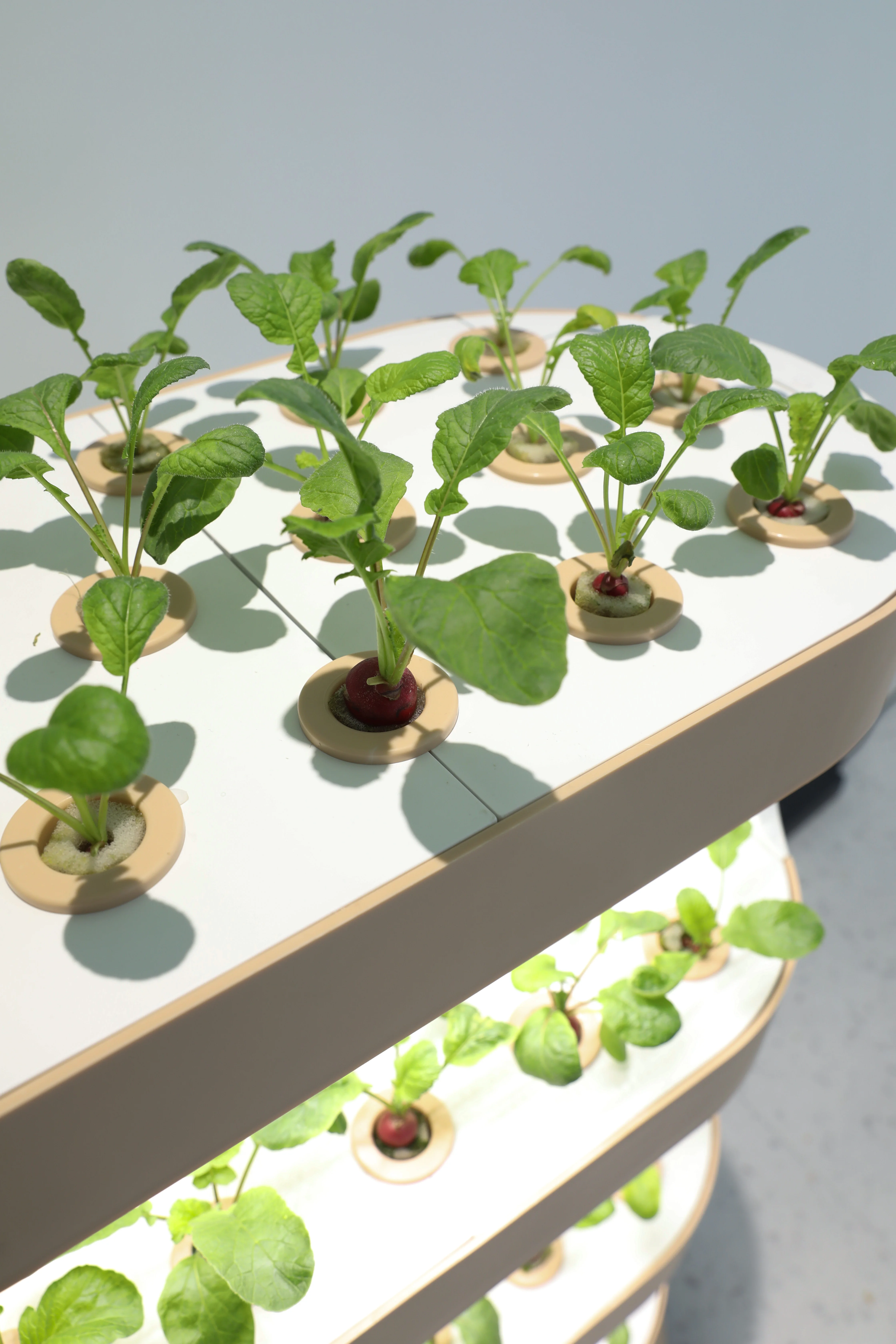 Vertical Planting - Smart Hydroponic Grow System by Sensh