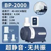BP-2000