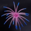 B 006